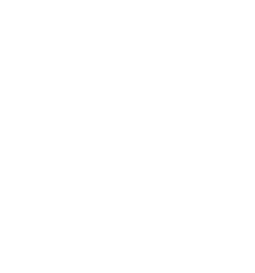 Dutch Dragons Perridon group