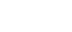 Dutch Dragons Shoe investments